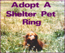 Adopt A Shelter Pet Ring